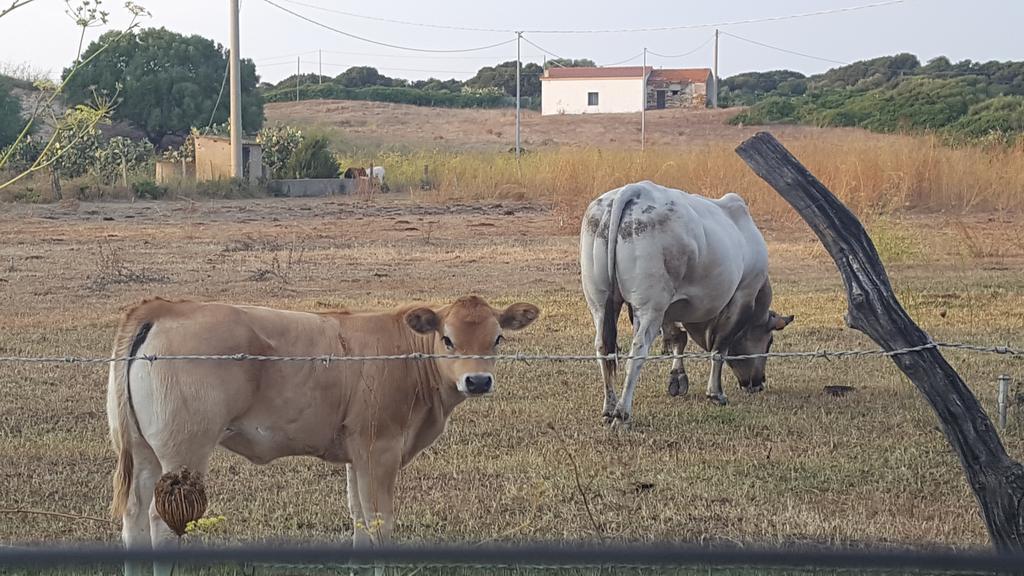 Appartamento Gemma delle mimose Badesi Esterno foto