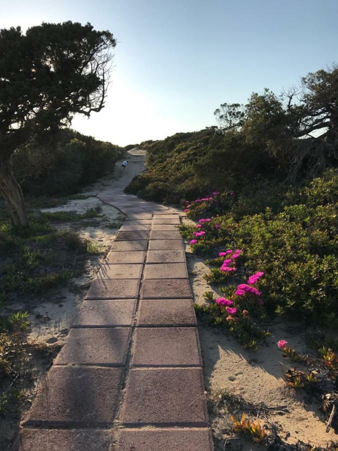 Appartamento Gemma delle mimose Badesi Esterno foto